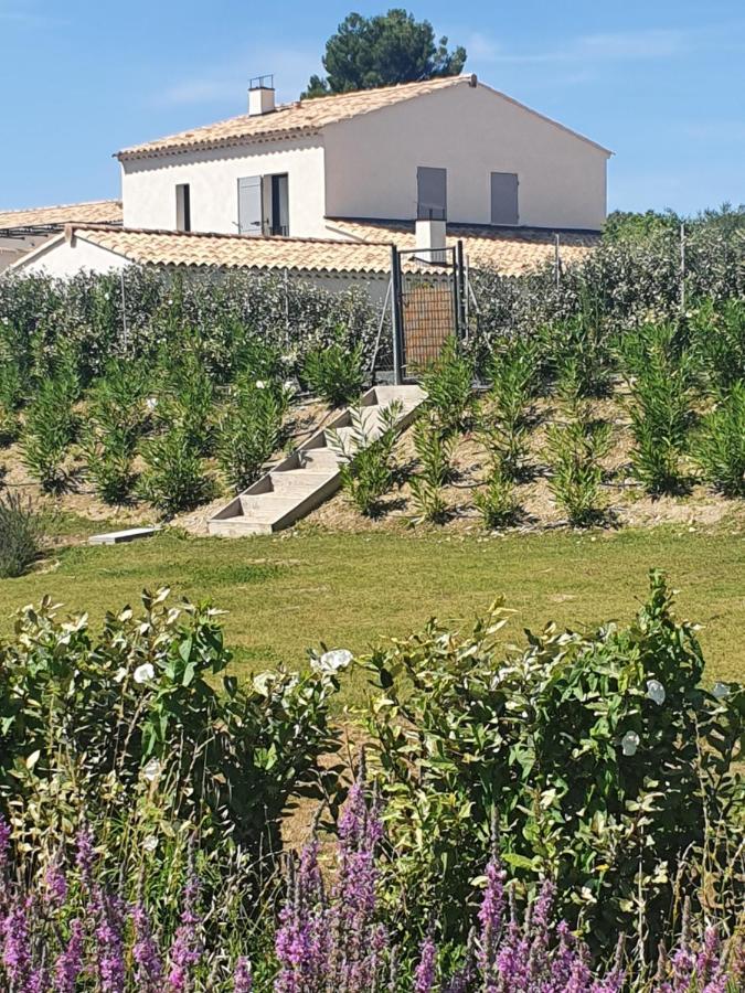 Onze Villa In Provence, Mont Ventoux, New Luxury Villa, Private Pool, Stunning Views, Outdoor Kitchen, Big Green Egg Malaucène Exteriér fotografie